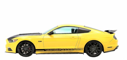 Side Custom Vinyl Decal Racing Stripes For Ford Mustang Evilrpm 12044083855429.jpg